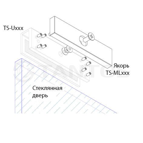 Картинка №2