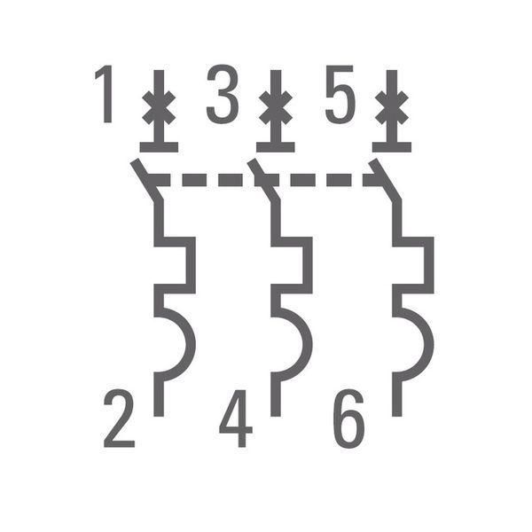 Картинка №5