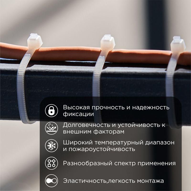 Картинка №2