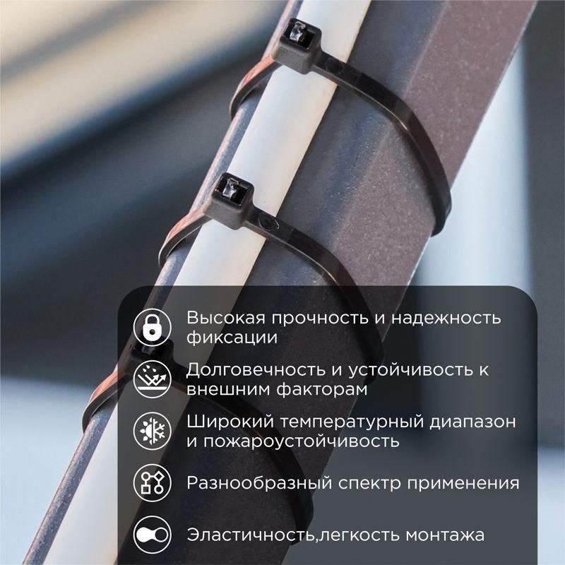 Картинка №2