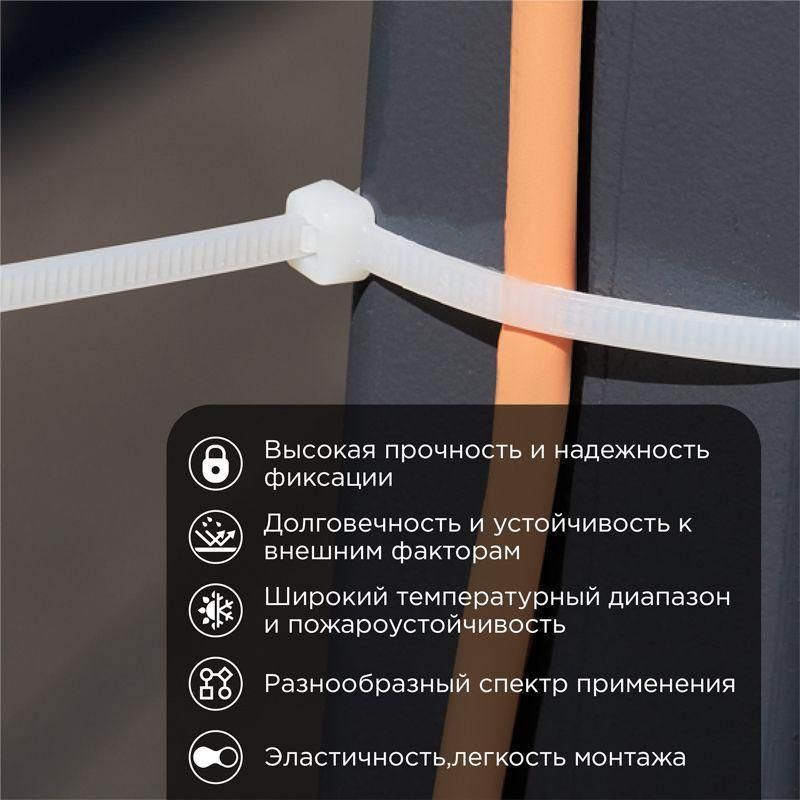 Картинка №2