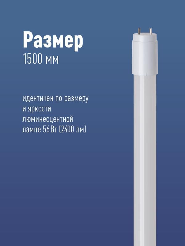 Картинка №2