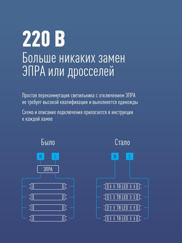 Картинка №5