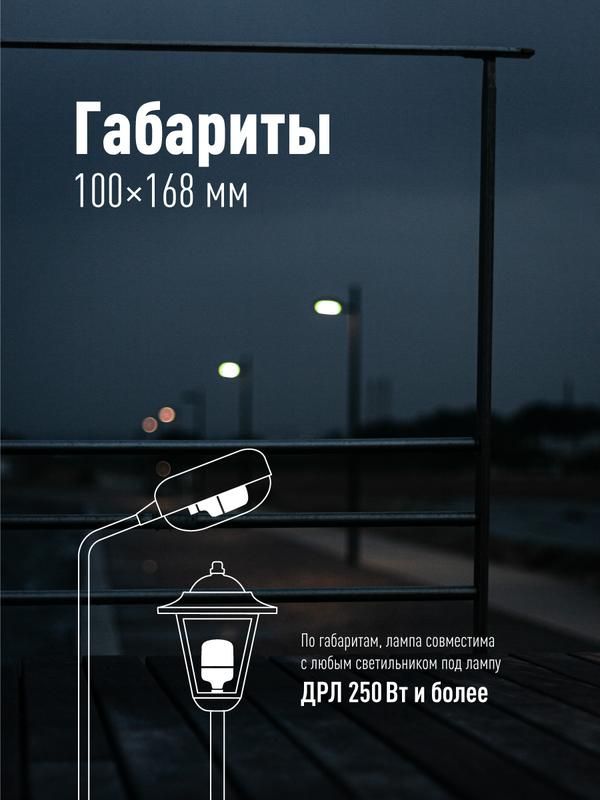 Картинка №5