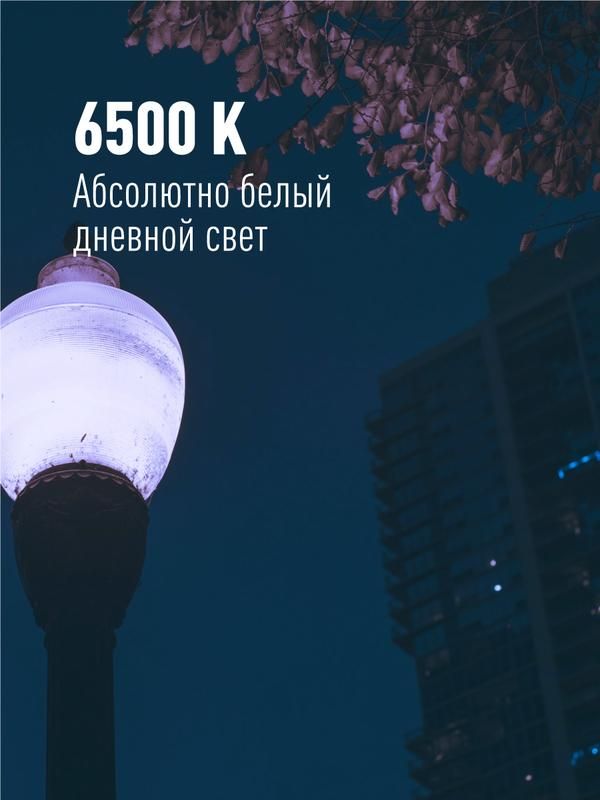 Картинка №6