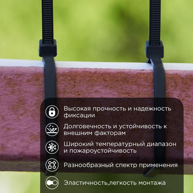 Картинка №2