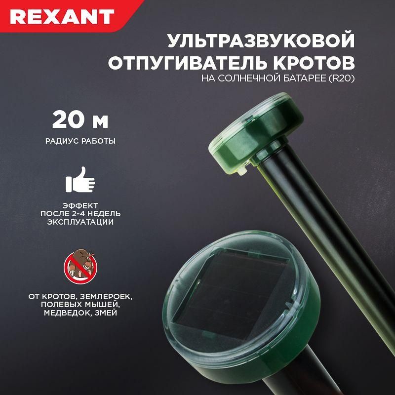 Картинка №2