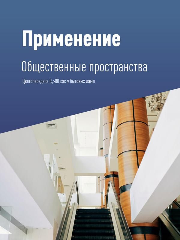 Картинка №6