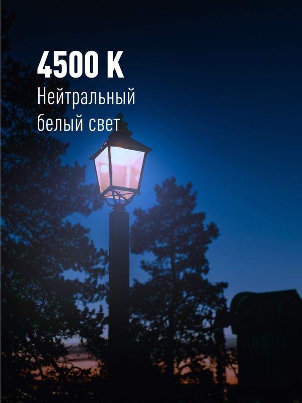 Картинка №6
