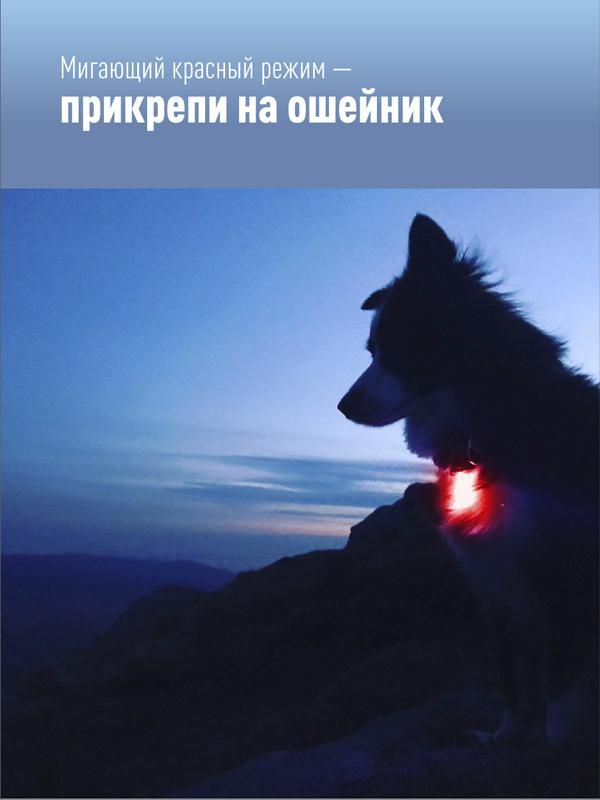 Картинка №4