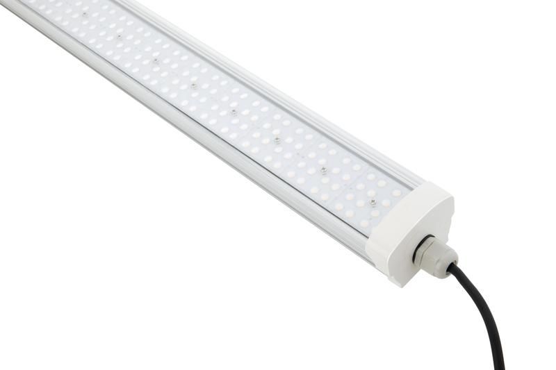 Картинка №2